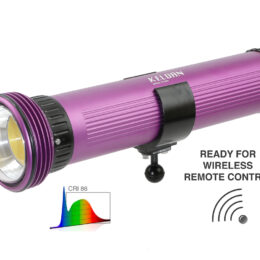 KELDAN Video 24XR 45000lm CRI86